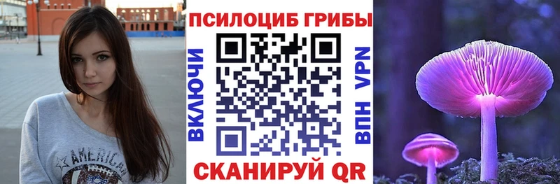 Псилоцибиновые грибы мицелий  где найти   Олонец 